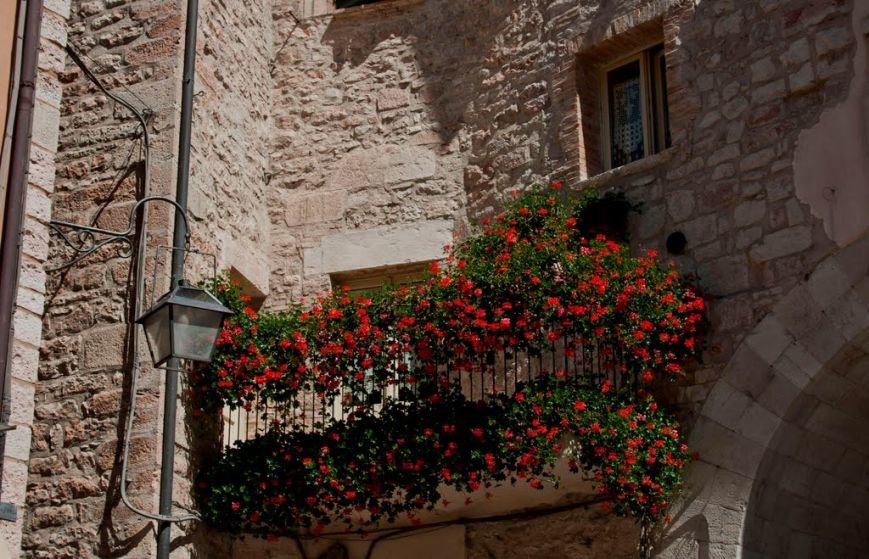 balcony-with-flowers16-1024x659