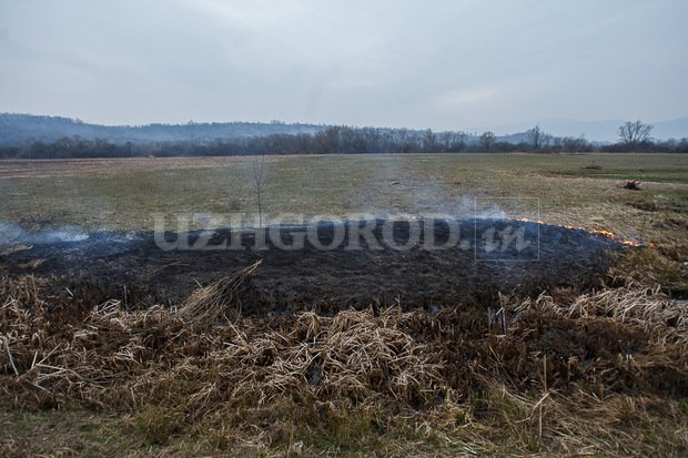 3i3g9750_fit_content_width_watermark