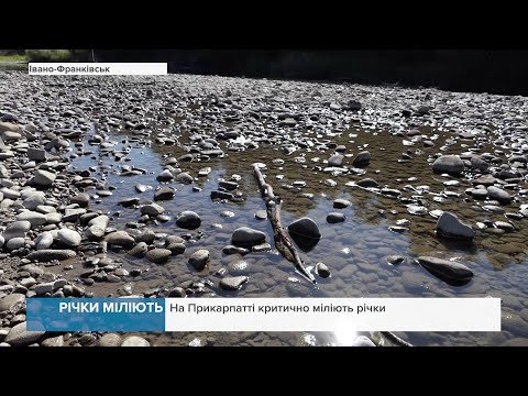 Води стає менше: На Прикарпатті критично міліють річки