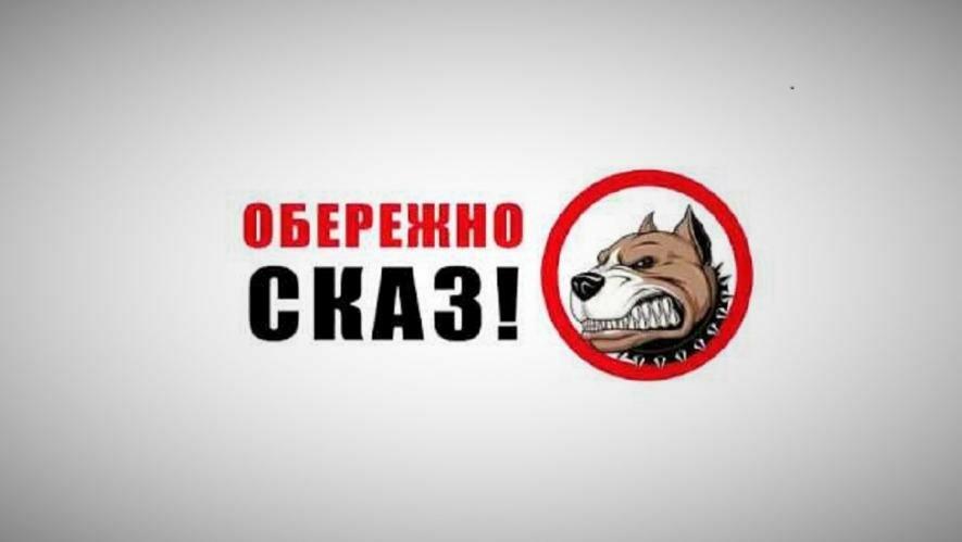 У селі на Прикарпатті скажений пес покусав трьох людей