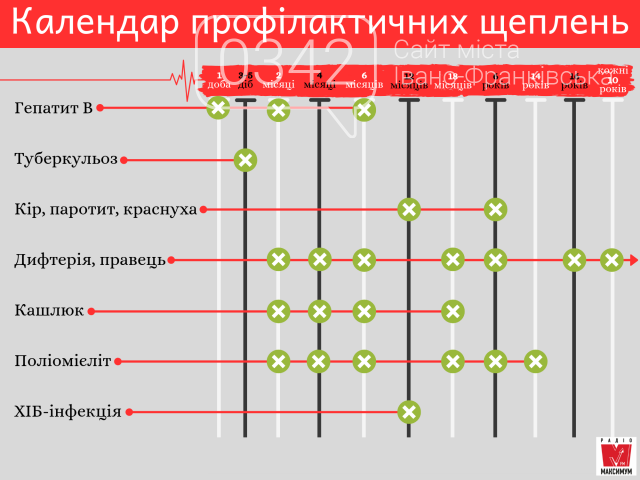 Коли треба робити щеплення дорослим: календар щеплень і терміни вакцинації, фото-3