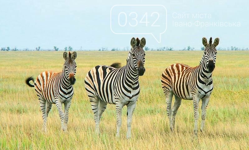 Визначено ТОП-5 місць в Україні, які можуть замінити закор..., фото-4 Визначено ТОП-5 місць в Україні, які можуть замінити закордонні поїздки, фото-4