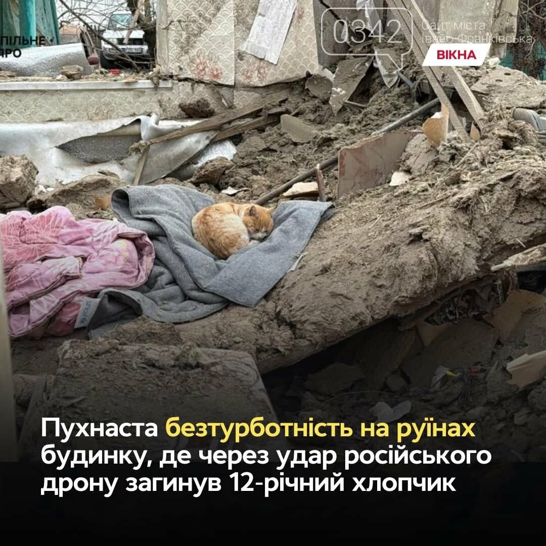 Кіт заснув на речах сім'ї, у якої загинув син внаслідок обстрілу