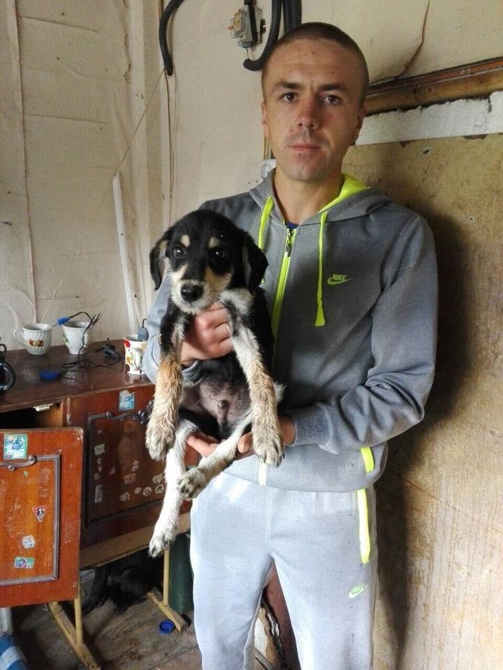 У Калуші чотири безпритульні пси знайшли свої домівки. ФОТО, фото-2 У Калуші чотири безпритульні пси знайшли свої домівки. ФОТО, фото-2