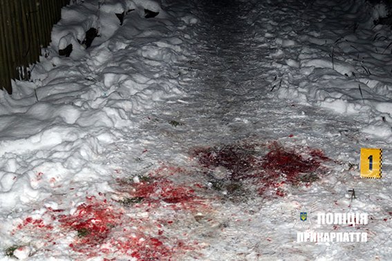 Прикарпатські правохоронці затримали підозрюваного у вбивст..., фото-1 Прикарпатські правохоронці затримали підозрюваного у вбивстві рідної матері. ФОТО 16+, фото-1