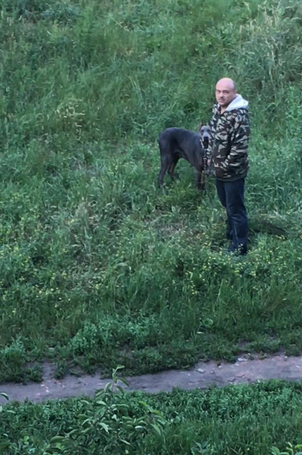 На Прикарпатті шукають чоловіка, який б'є свого собаку. ВІДЕО, фото-1 На Прикарпатті шукають чоловіка, який б'є свого собаку. ВІДЕО, фото-1