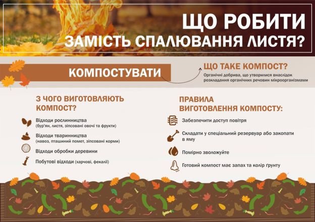 Геноцид власними руками або чому дим від осінніх багать зни..., фото-4 Геноцид власними руками або чому дим від осінніх багать знищує людей, фото-4