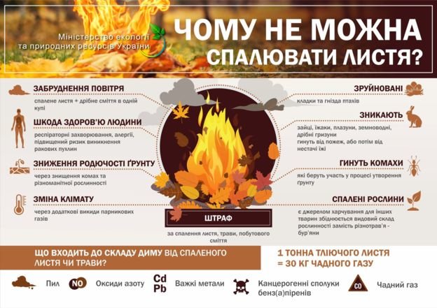 Геноцид власними руками або чому дим від осінніх багать зни..., фото-2 Геноцид власними руками або чому дим від осінніх багать знищує людей, фото-2