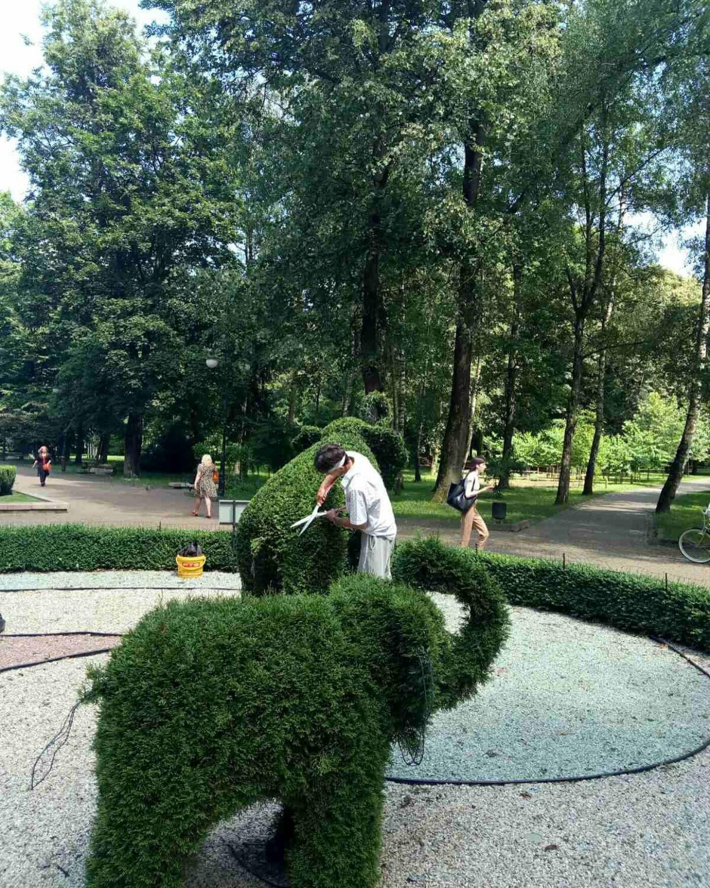 У франківському міському парку постригли слонів
