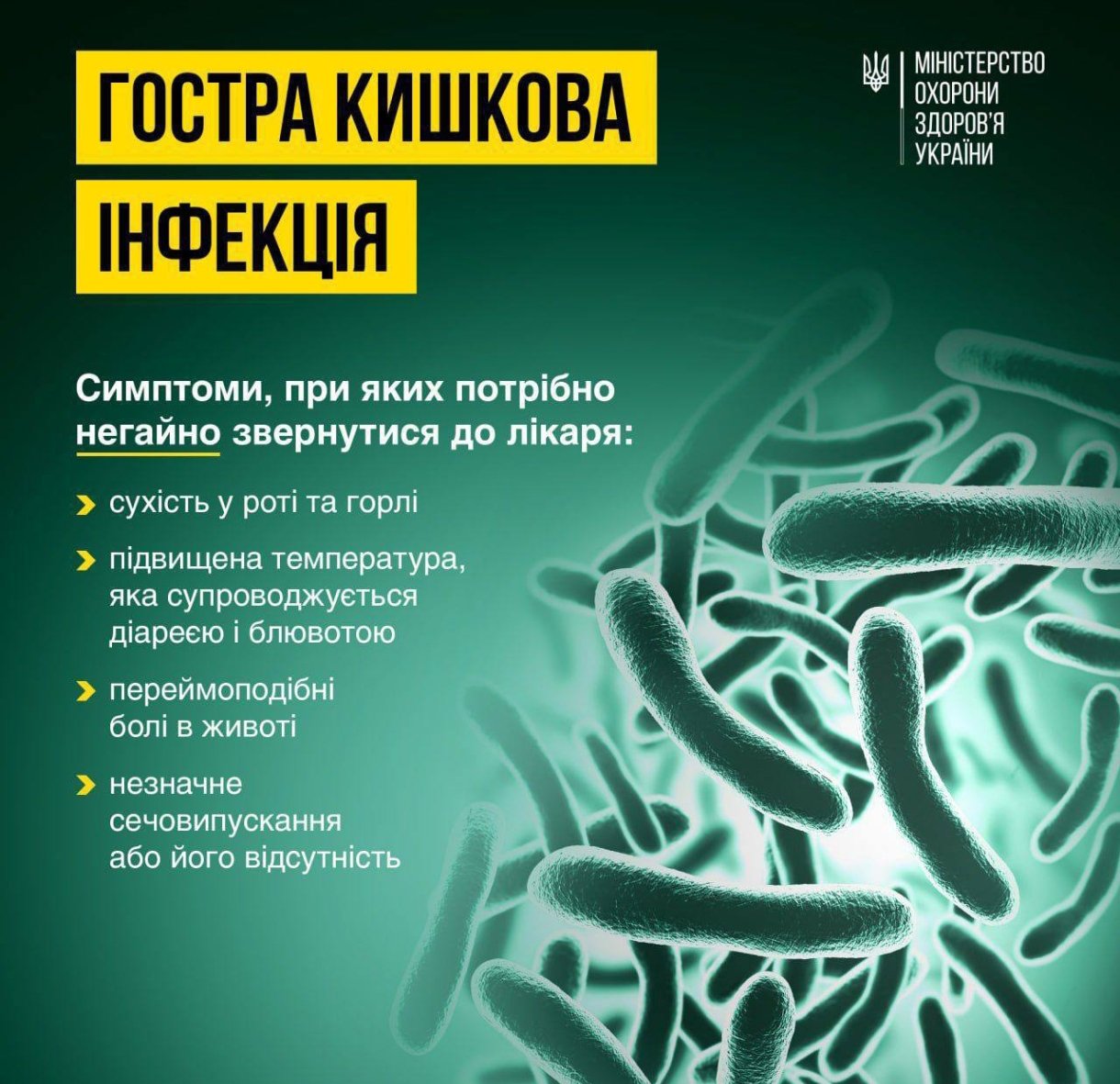 Інформаційна таблиця - Гостра кишкова інфекція