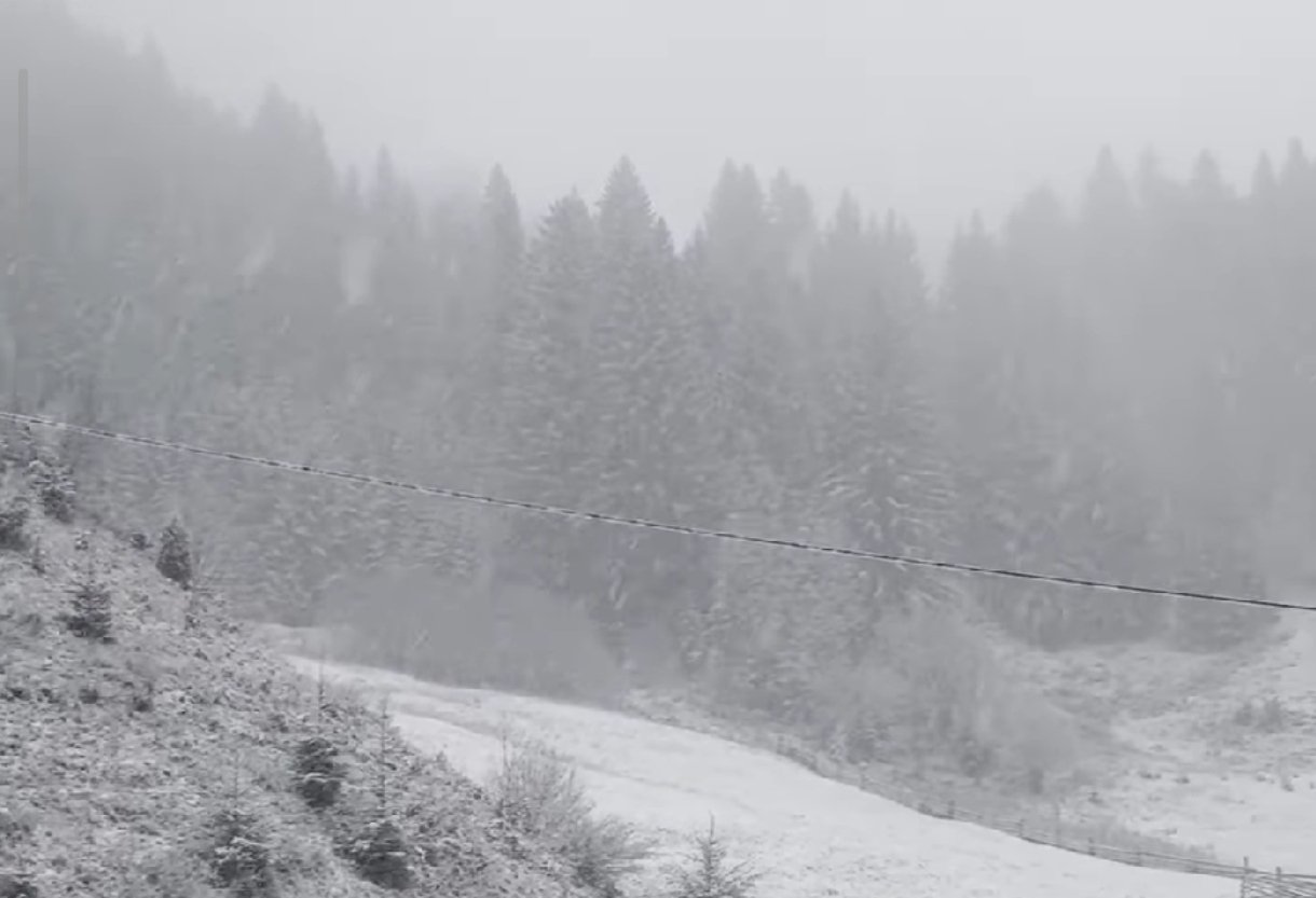 Снігопад на Прикарпатті