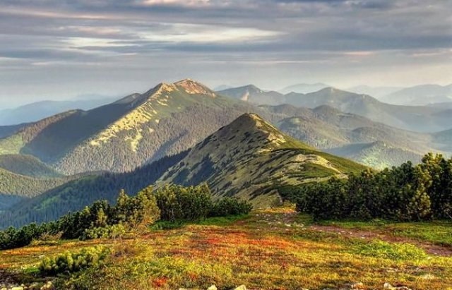 В Івано-Франківську створили мобільний додаток для походів Карпатам... В Івано-Франківську створили мобільний додаток для походів Карпатами, pressman