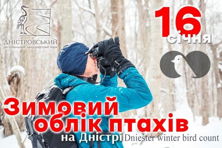 На Прикарпатті проведуть зимовий облік птахів На Прикарпатті проведуть зимовий облік птахів, pressman