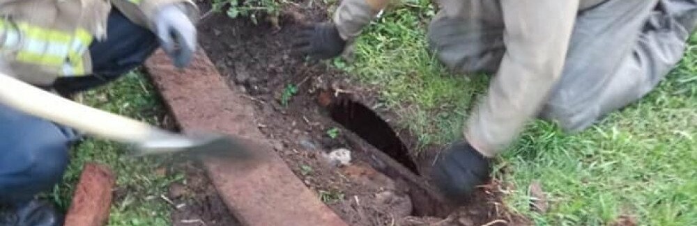 Вчора прикарпатські рятувальники врятували двох собак Вчора прикарпатські рятувальники врятували двох собак