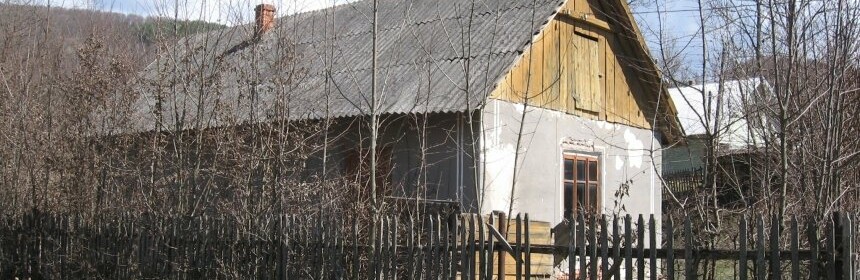 У понеділок з аукціону продадуть ветлікарню у Косівському районі