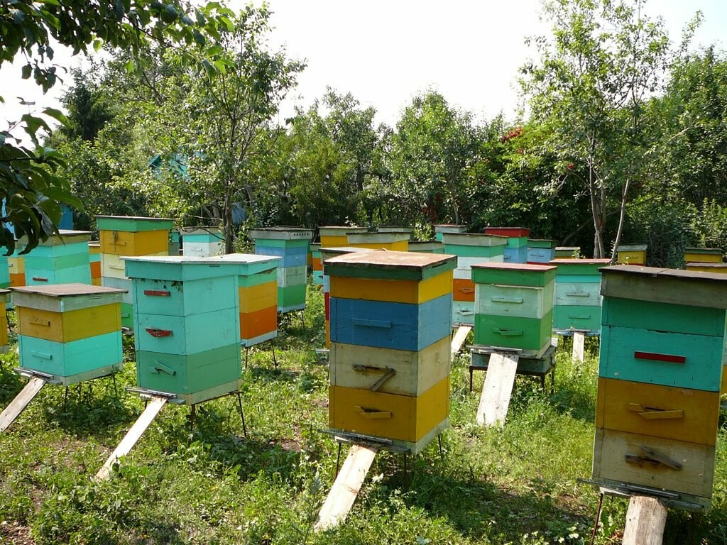интернет магазин для пчеловодов в украине