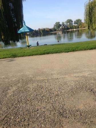 голі голі